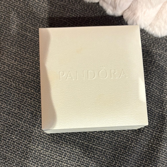 Pandora Charm Bracelet with Pandora Box - Picture 8 of 9